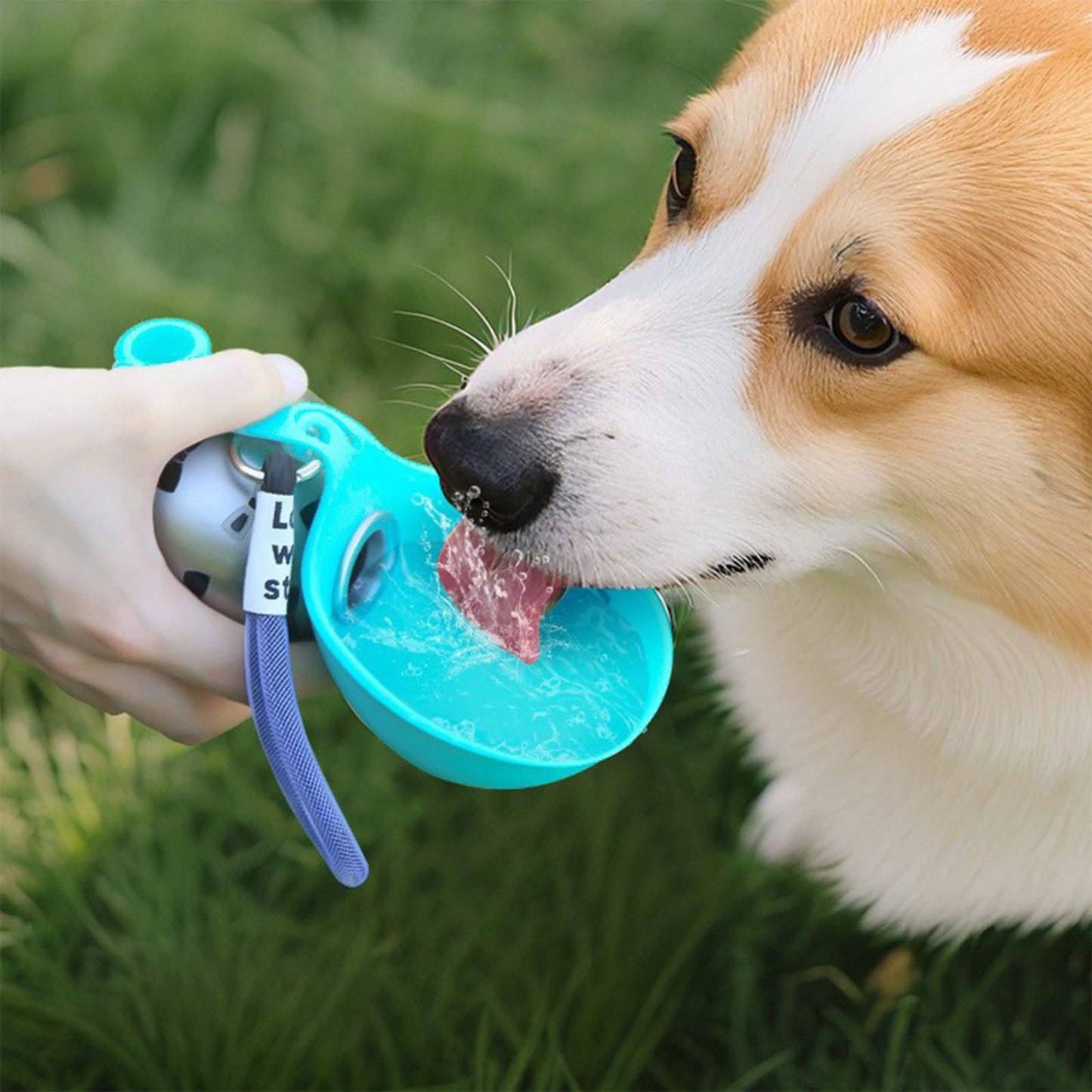 Stainless Steel Hanging Carabiner Folding Silicone Water Bottle - Happy Little Paw