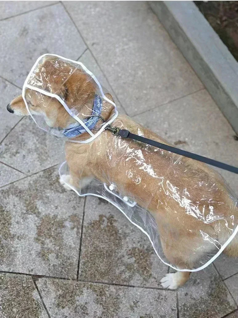 Clear Pet Raincoat - Happy Little Paw