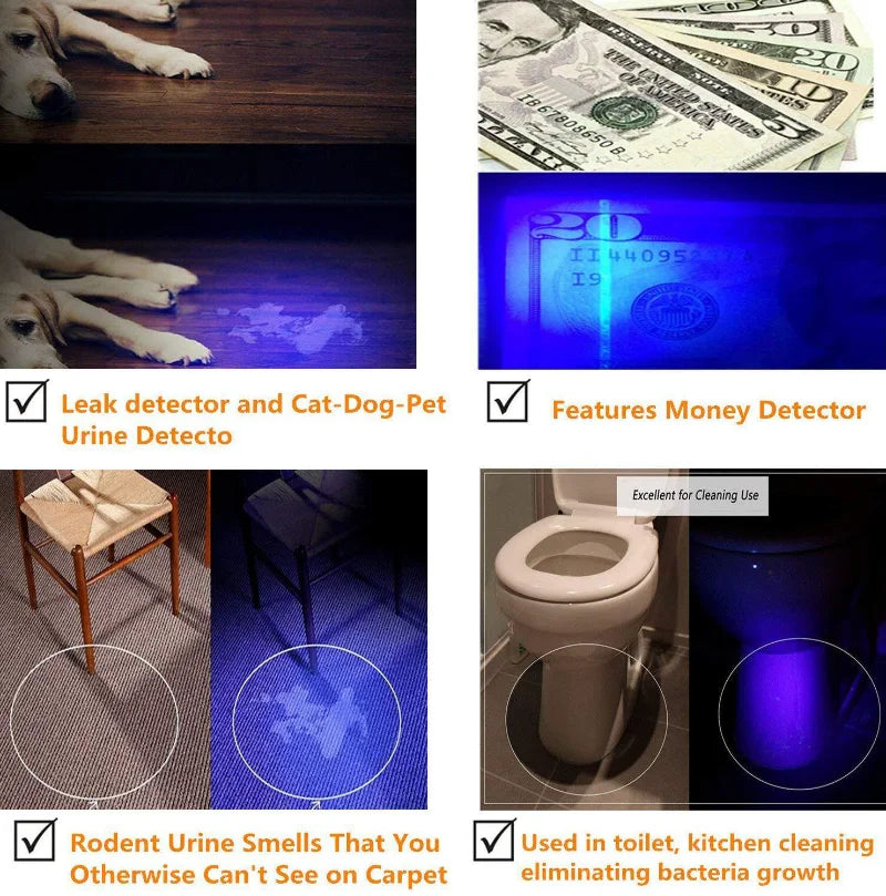 Handheld UV Blacklight Flashlight - Happy Little Paw