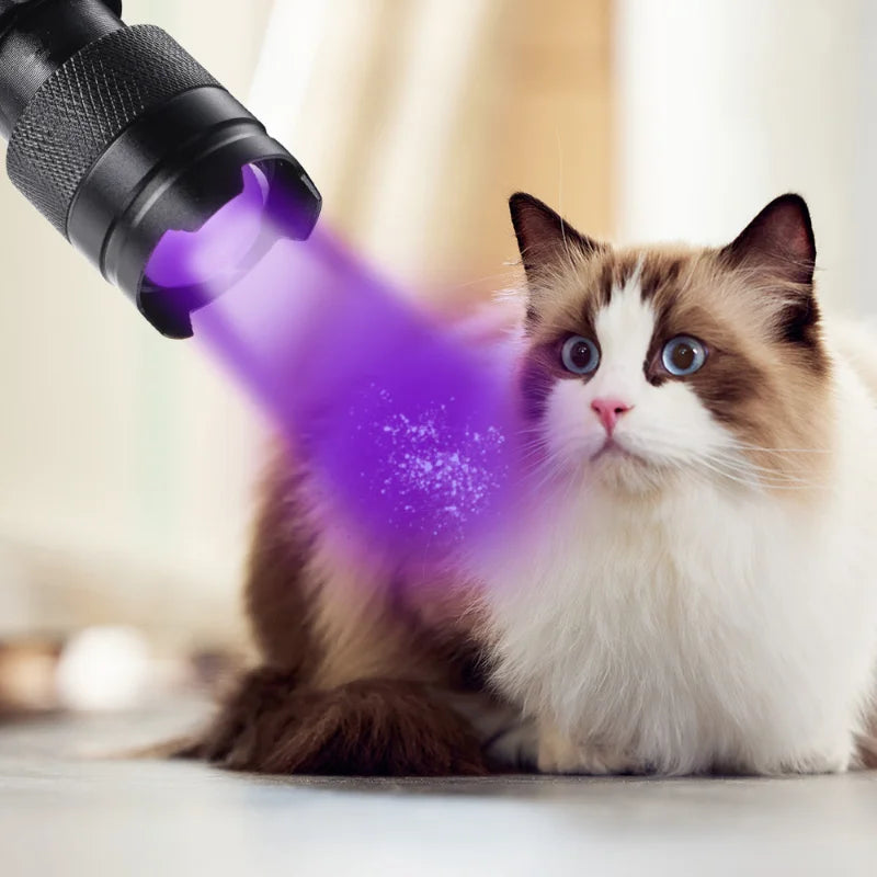 Handheld UV Blacklight Flashlight - Happy Little Paw