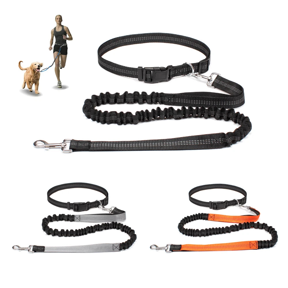 Adjustable Dog Leash with Waist Belt and Chest Strap - Happy Little Paw