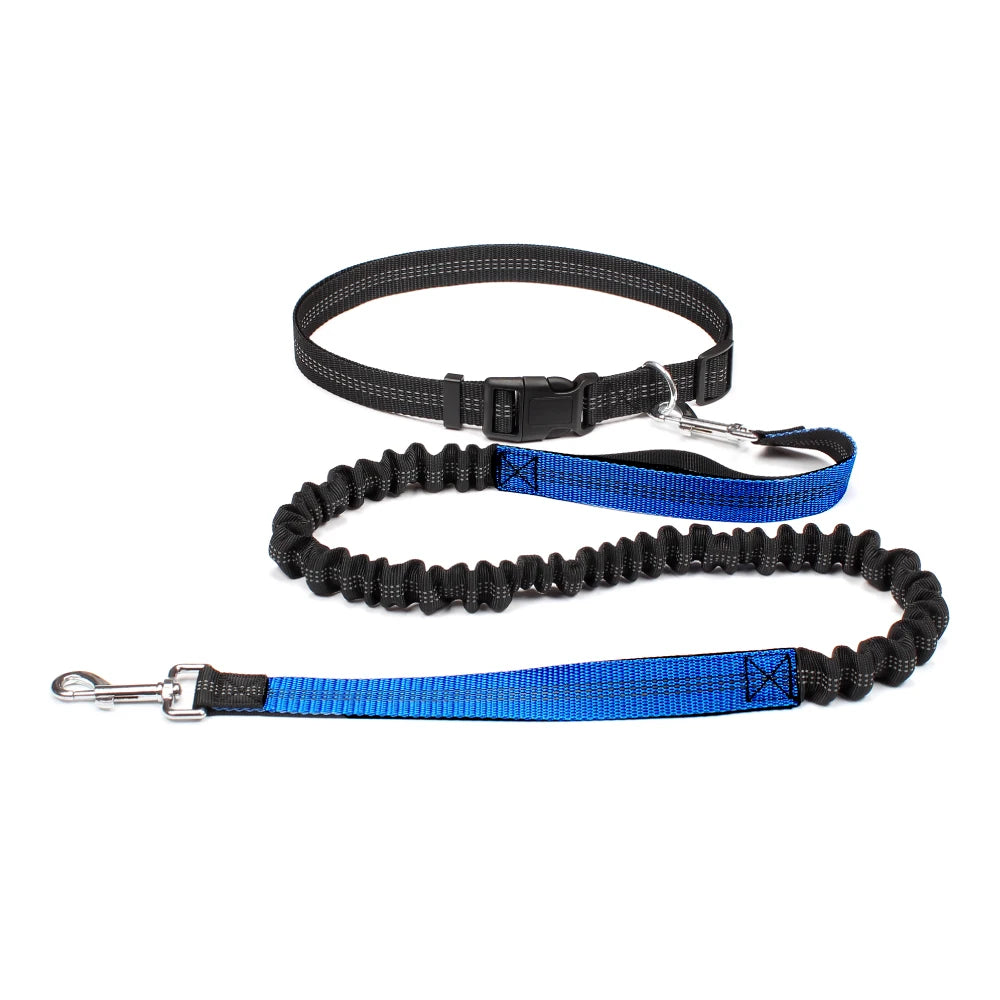 Adjustable Dog Leash with Waist Belt and Chest Strap - Happy Little Paw