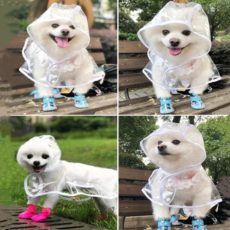 Clear Pet Raincoat - Happy Little Paw