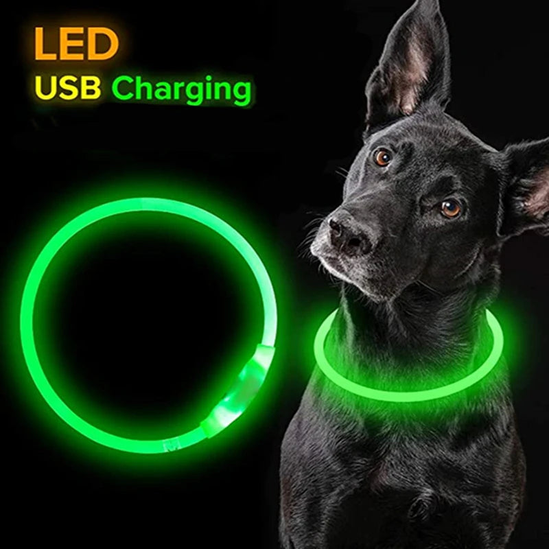 LED Light Glowing Collar for Dogs and Cats - Happy Little Paw