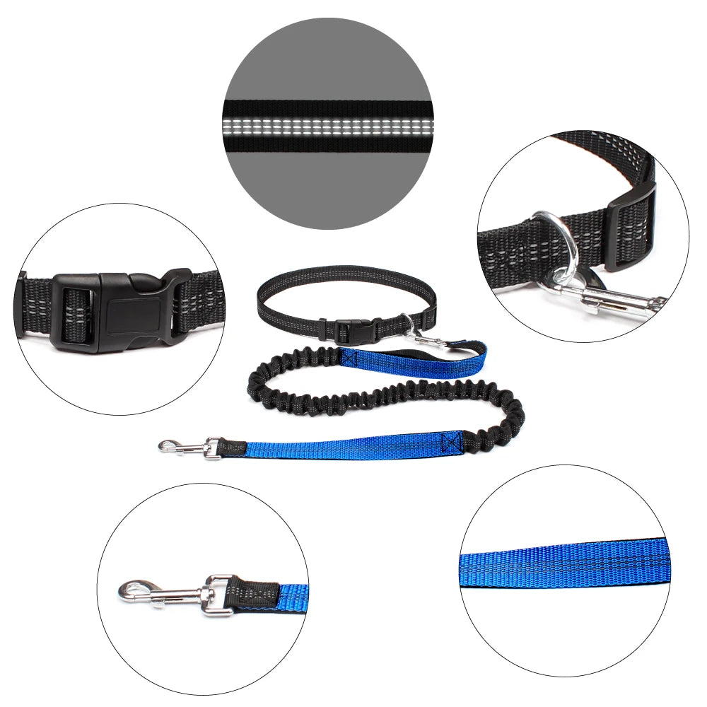 Adjustable Dog Leash with Waist Belt and Chest Strap - Happy Little Paw