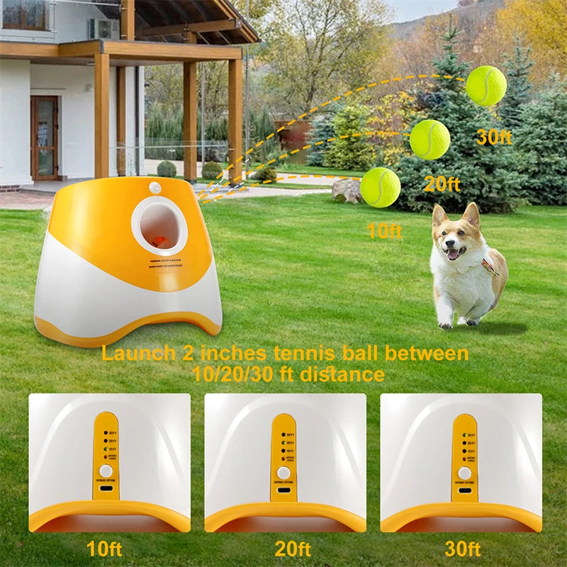 Tennis Launcher Automatic Pet Chase Toy - Happy Little Paw