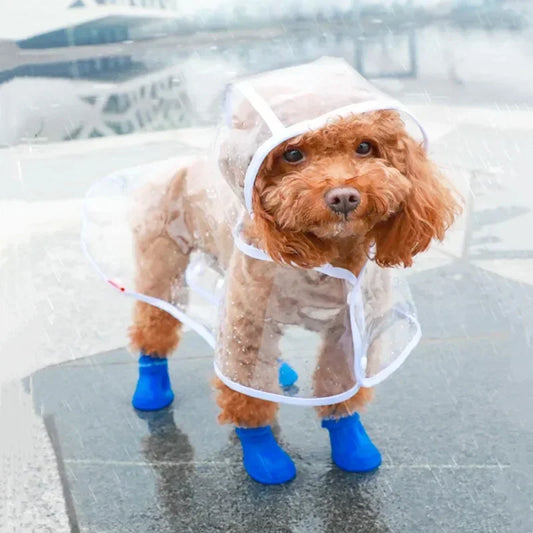 Clear Pet Raincoat - Happy Little Paw