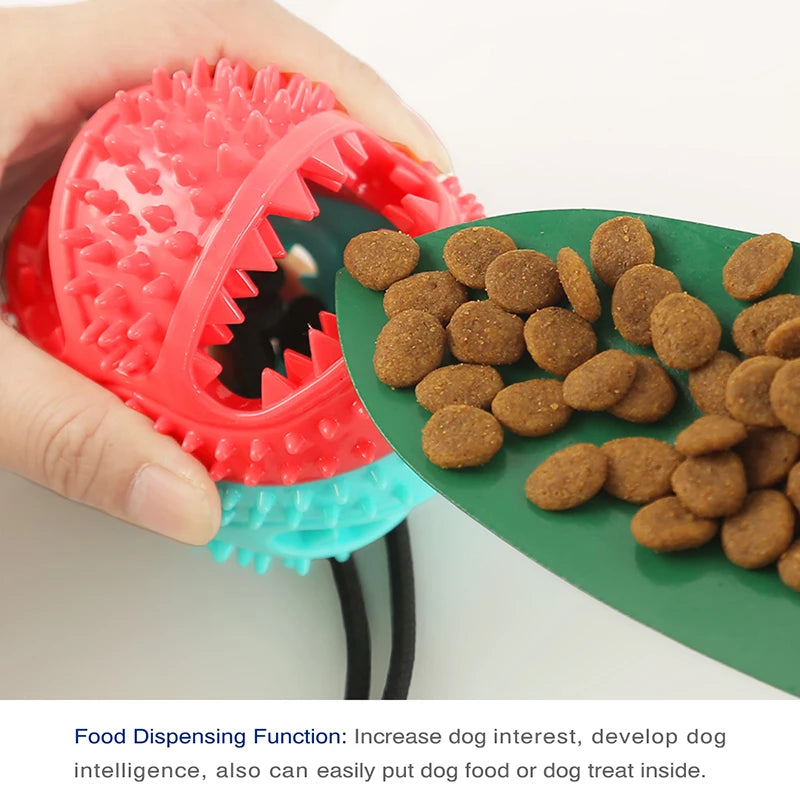 Large Dog Ball Toy with Silicon Suction Cup - Happy Little Paw