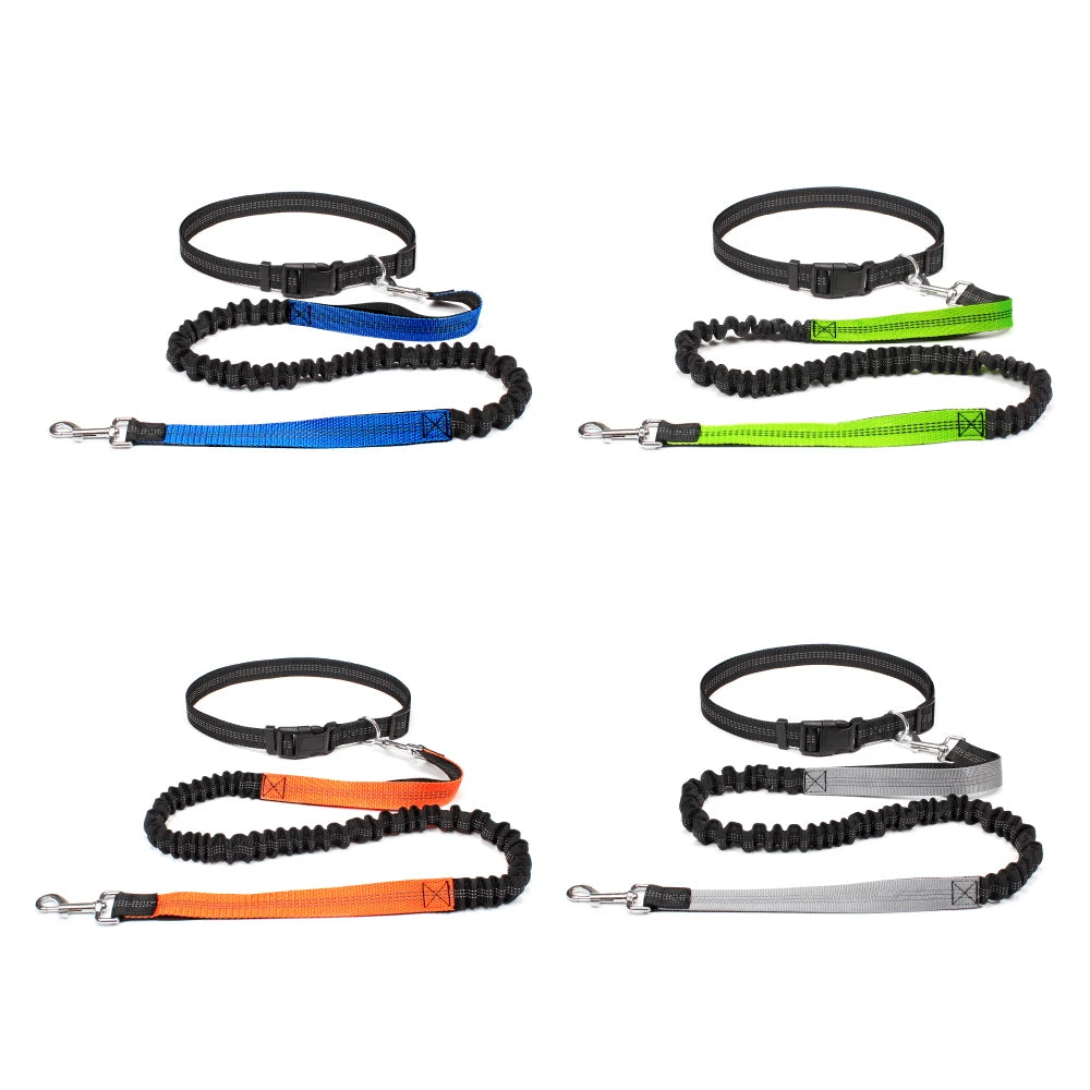 Adjustable Dog Leash with Waist Belt and Chest Strap - Happy Little Paw