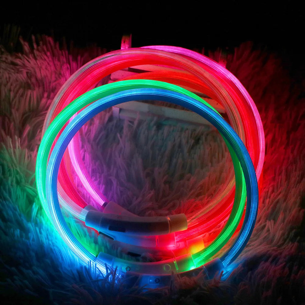 LED Light Glowing Collar for Dogs and Cats - Happy Little Paw