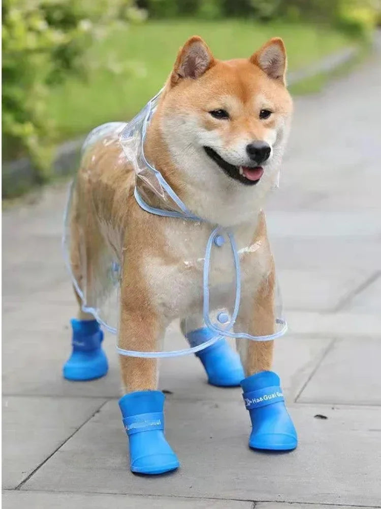 Clear Pet Raincoat - Happy Little Paw